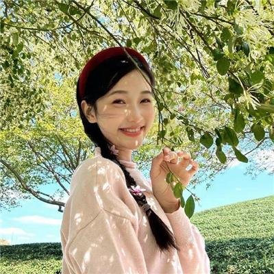 春城花满天